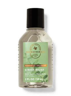 Eucalyptus Spearmint Travel Size Body Wash And Foam Bath