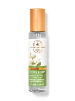 Eucalyptus Spearmint MINI EO MIST