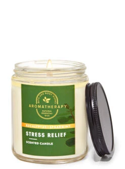 Aromatherapy Eucalyptus Spearmint Mason Single Wick Candle