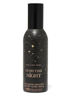 Into The Night Concentrated Room Spray