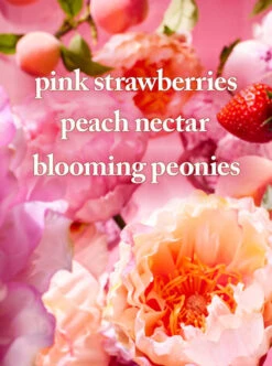 Gingham Gorgeous Fine Fragrance Mist -Scentedvibes Shop 026621746 alt 2