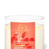 Aromatherapy Orange Ginger 3-Wick Candle