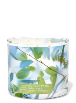 Eucalyptus Springs 3-Wick Candle