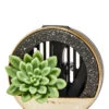 Succulent Planter Car Fragrance Holder