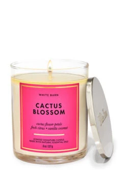 White Barn Cactus Blossom Signature Single Wick Candle