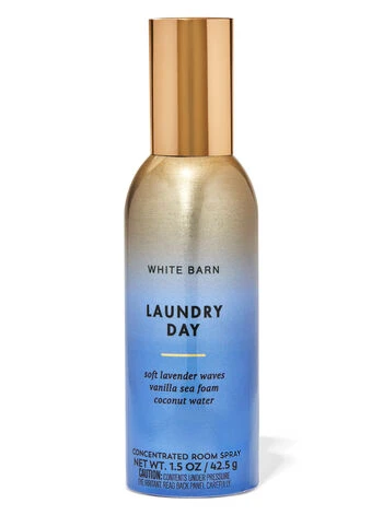Laundry Day Concentrated Room Spray -Scentedvibes Shop 026652225