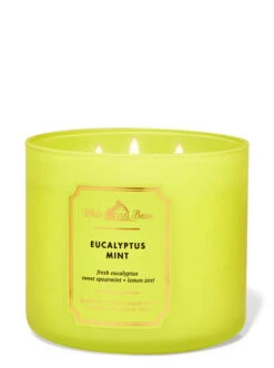 White Barn Eucalyptus Mint 3-Wick Candle