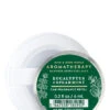 Eucalyptus Spearmint Car Fragrance Refill