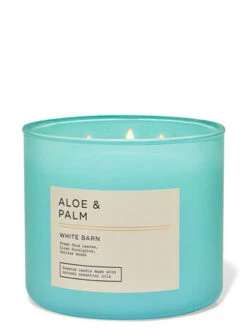 White Barn Aloe & Palm 3-Wick Candle