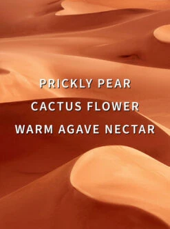 Wild Sand Exfoliating Desert Body Scrub -Scentedvibes Shop 026676529 alt 2