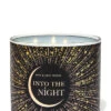 Into The Night 3-Wick Candle