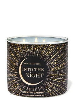 Into The Night 3-Wick Candle