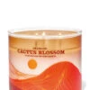 Cactus Blossom 3-Wick Candle