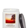 Harvest Pomegranate Mason Single Wick Candle