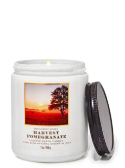 Harvest Pomegranate Mason Single Wick Candle